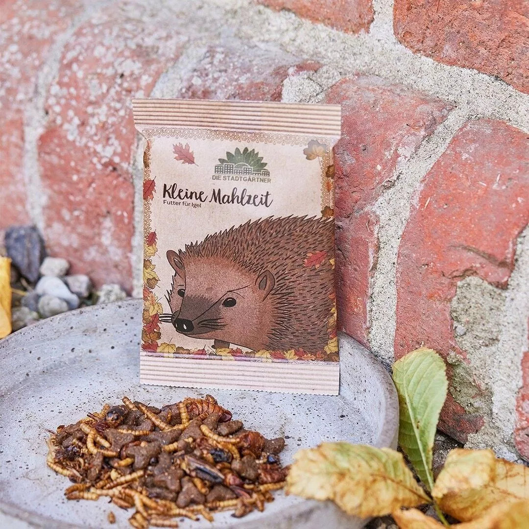 Kleine Mahlzeit für Igel