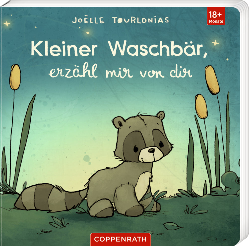 Kleiner Waschbär, erzähl mir von dir