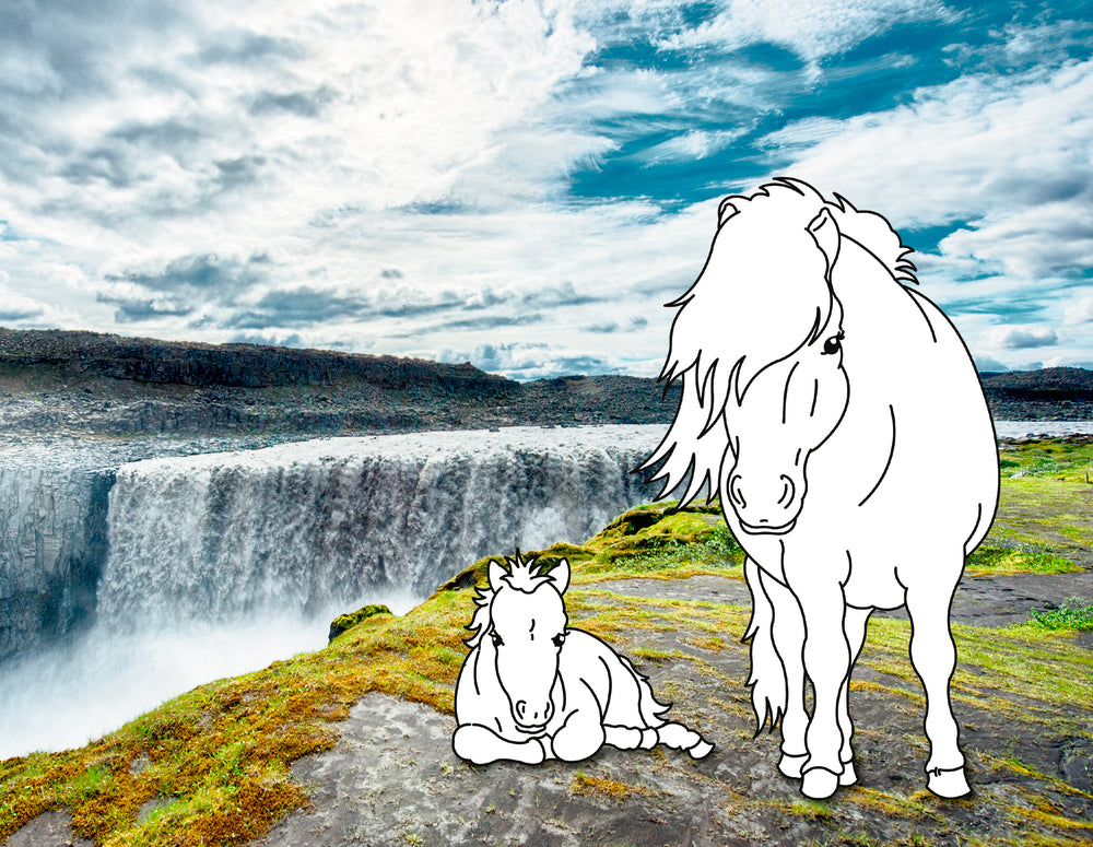 Traumpferde-Malbuch: Wilde Natur