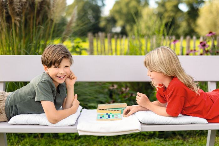 Ludo Spiel