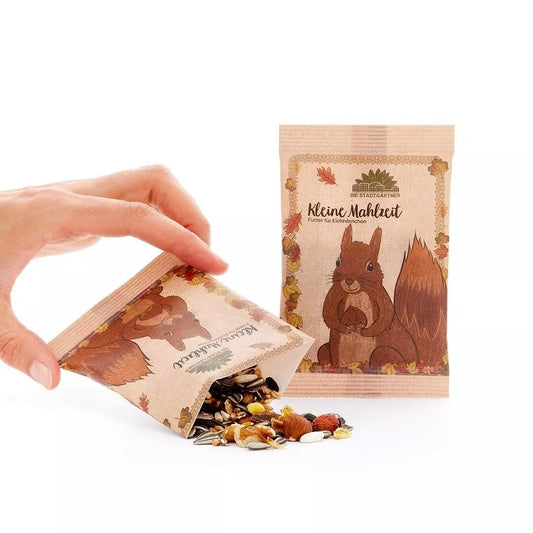 Kleine Mahlzeit für Eichhörnchen
