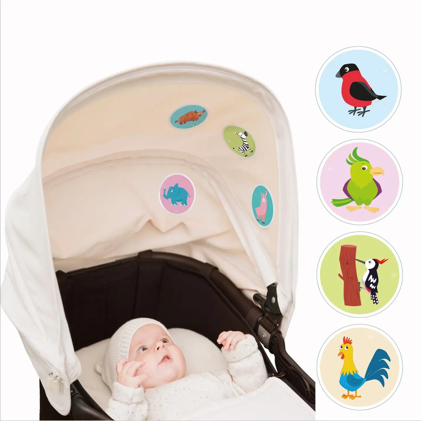 Babysticker verschiedene Motive