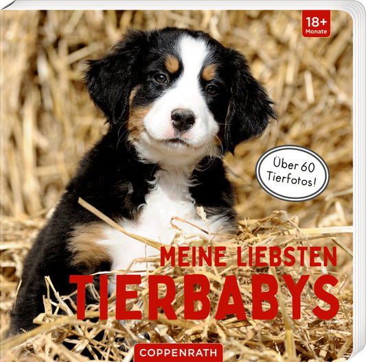 Meine liebsten Tierbabys