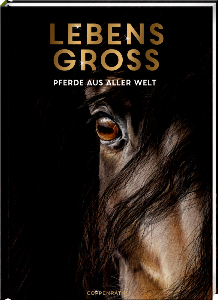 Lebensgross - Pferde aus aller Welt