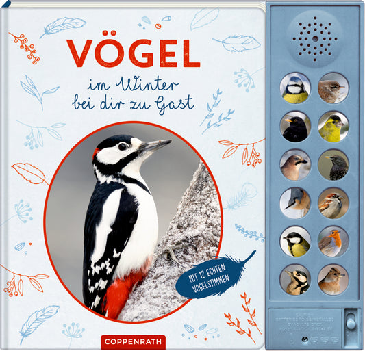 Vögel im Winter