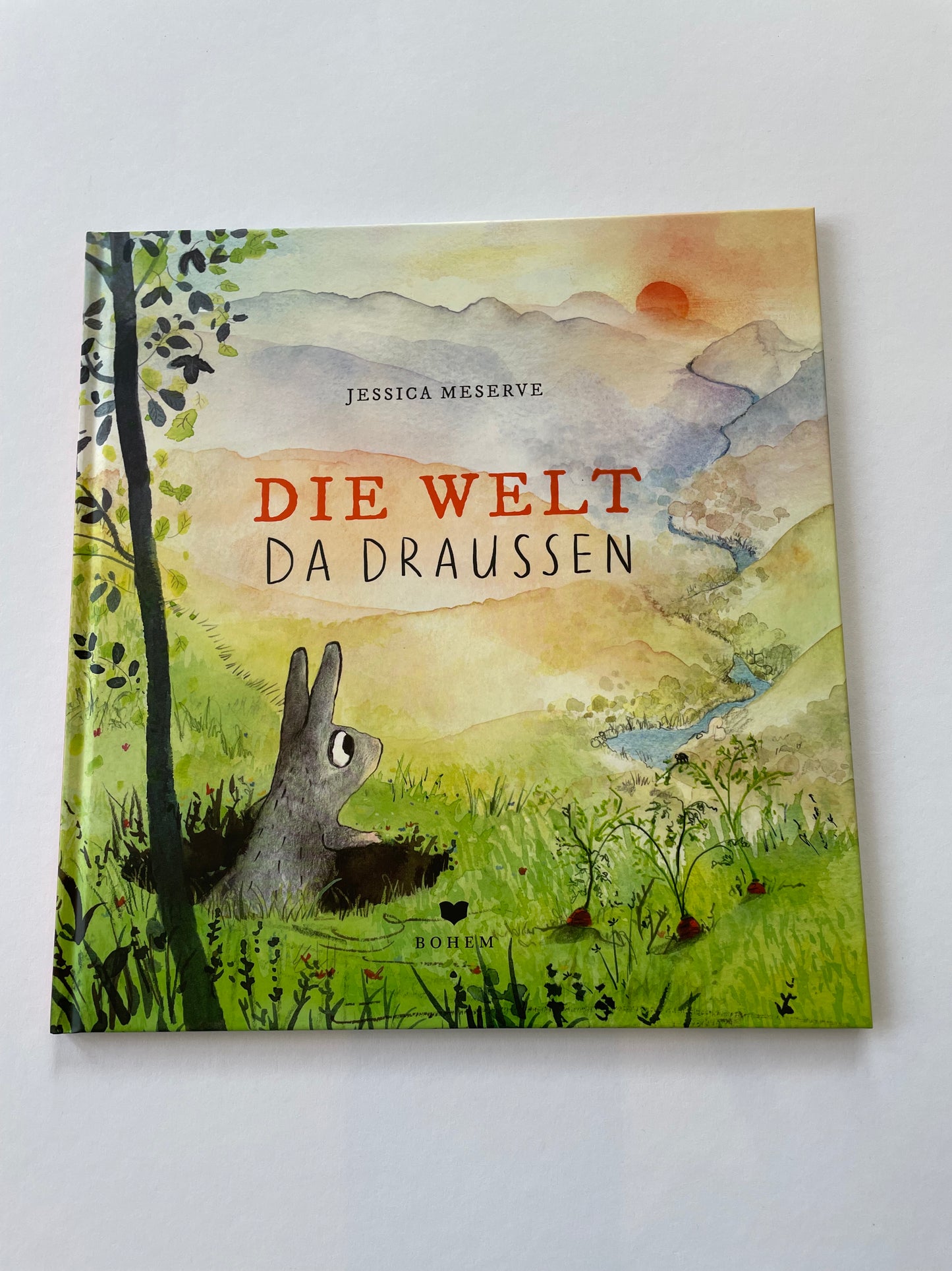 Die Welt da draußen